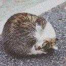 (주)자연과 사람들 이미지