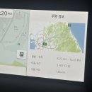 로얄팰리체 | [강원도]고성 소노펠리체 델피노 골드 스위트 파노라마 뷰 7층 숙박 후기(+얼리 체크인,식객)