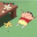 씨유 남양제일점 | 제주 한달살이 4주차 : 4주는 너무 짧아요 .. 또 올게 제주야 🍊