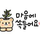 국제남여헬스클럽 이미지