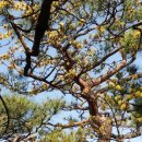 광창공인중개사사무소 이미지