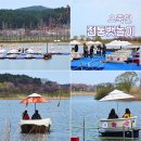 운정길 | 강릉 오죽헌 뱃놀이 생태저류지 주차 현장예매 탑승시간 후기 정리