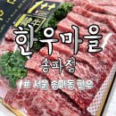 비산안심한우마을 | 서울 송파동 한우마을 송파점 1++ 한우선물세트 포장 후기 내돈내산