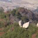 황금능선 이미지