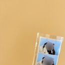 플랜비스튜디오부천