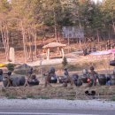 11.04.24.. 진도 항아리 전시장과 금골산 군내중학교... 이미지