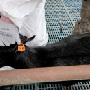 달아실 농원 이미지