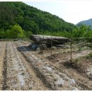 호남이용원 이미지
