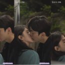 설레네 이미지