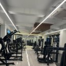 블랙맘바짐 이미지