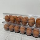 다이소 생활 필수템, 계란 보관함 내돈내산 구매 후기