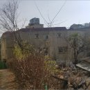 신안동11 이미지