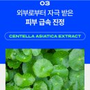 [ 그라운드랩 ] 남자스킨로션올인원 남자스킨케어 그라운드랩 후기