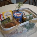 사랑 스테이 이미지