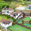 안면애견펜션프리독 이미지