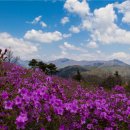 국사봉랜드 이미지