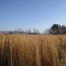 구림면사무소 이미지