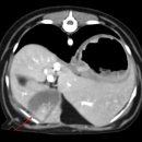 대경연합동물영상센터 이미지