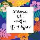 송파새날동물병원 | 고양이와 함께라면 스트레스 안녕! 송파구동물병원에서 알아보는 팁