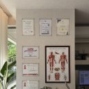 목동 | 목동필라테스 올바른재활필라테스 목동점 후기