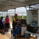 용일농장 이미지