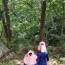 구산면586 이미지