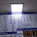 포항 울릉도 배편 : 태풍 힌남노 때문에 결항돼서 별안간 뉴씨다오펄호 크루즈 타게 된 후기