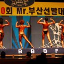 미스터부