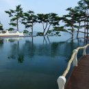 CLUB E·S 통영리조트 Daum카페