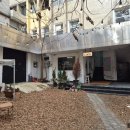 들꽃하우스 | 대전역 근처 조용한 카페 로크하우스