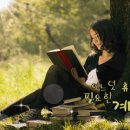 수풀林 Daum카페