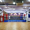 강남스타복싱 이미지