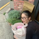 오스트리치안경 이미지