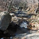 해운대에 올라 이미지