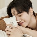 준호디자인 이미지