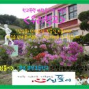 부당초등학교 이미지