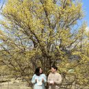 순천자연휴양림 이미지