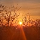 더블케이 | PT 후기(삼송PT 더블케이짐) 드디어 운동 다시 시작하다