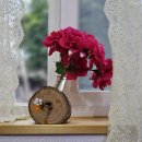 돌트미스테이 이미지