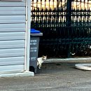 경북카서비스 | 경북 성주 가야산 펜션 포천 파크