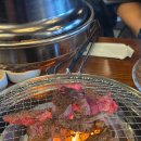 [역촌동 맛집] 은평구 가성비 좋은 소갈비, 돼지갈비 맛집 양심소 역촌점 후기