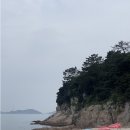 조은민박 | 통영 비진도, 깨끗함 끝판 숙소 추천 [조은민박] 솔직후기