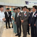 브레인치즈