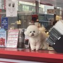 세븐스타 코인 노래연습장 진주본점 이미지