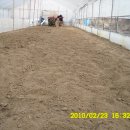 쌈채우리 이미지