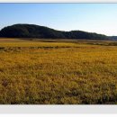 덕은3리 이미지