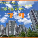 국제대학교 이미지