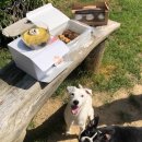 크리점빵 이미지