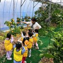 동심농장 이미지