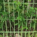 서현1동주민센터내 이미지